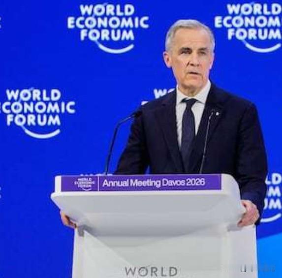 这是老年痴呆的典型反应。

“世界最不需要的就是中国接管加拿大。这种事不会发生，