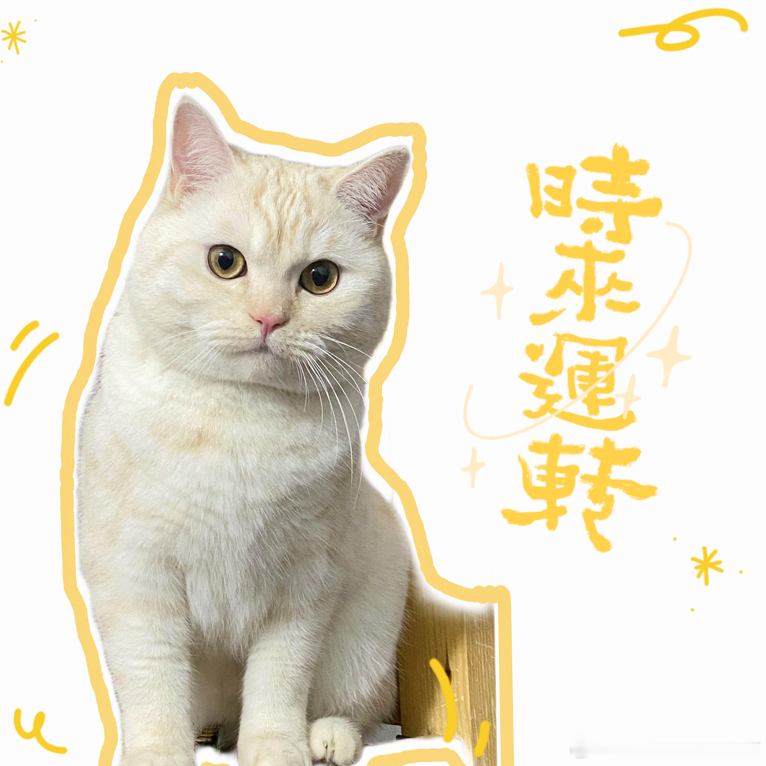 祝愿拖我稿失联的博主sj 越来越差，[微笑][微笑]，大清早真的要被气死 ​​​