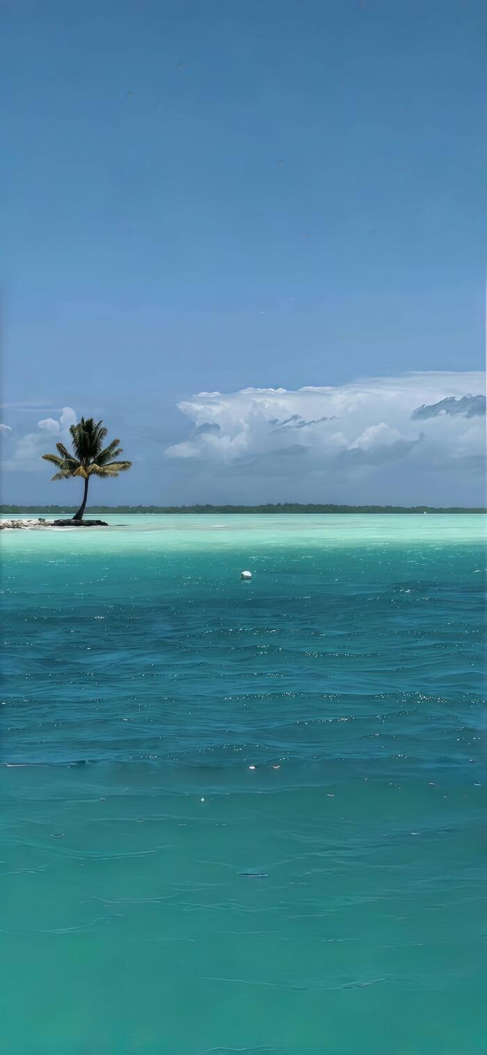 这才是我们普通人的顶级思维
看似不要脸的人
成事最快
不要脸虽然听起来很庸俗
但