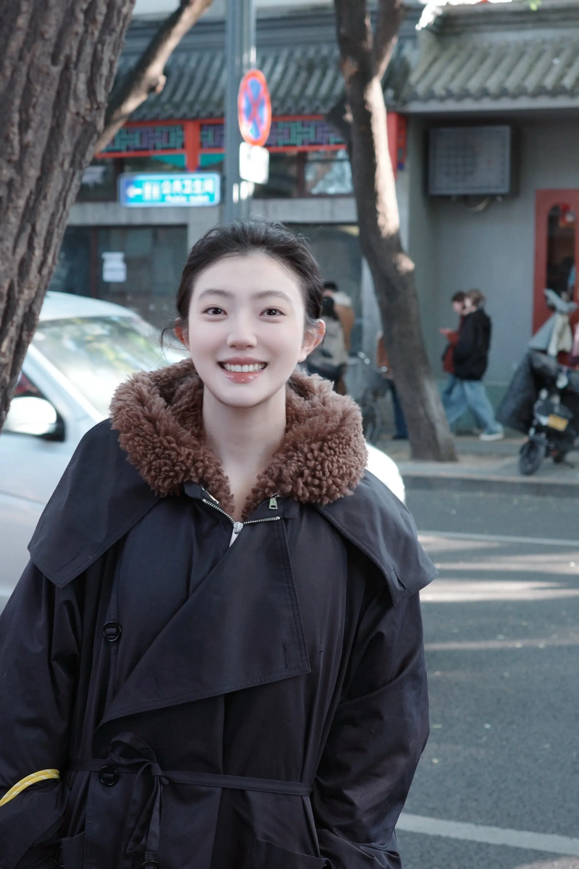 你问我为什么顽固而专一