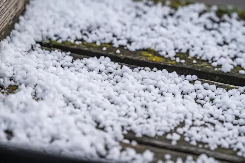 谁将白雪种云端，
不见枝叶花却繁。
仙女采摘偶失手，
童惊天掉玉珠圆。