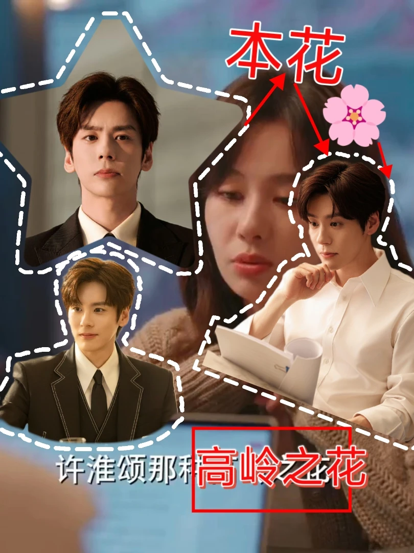 高岭之花深度解析｜许淮颂为什么配这个称呼