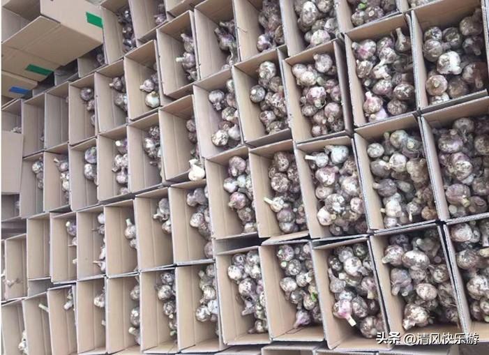 一觉醒来感觉天塌了，昨天刚上架的大蒜，一夜之间爆单了，急急忙忙找人打包，现在订单