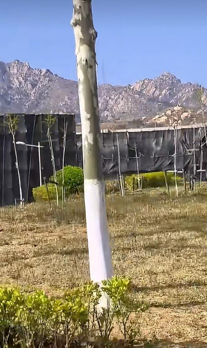 《十日终焉》 外景也使出了史诗级防代拍技术，全是黑布🤣 