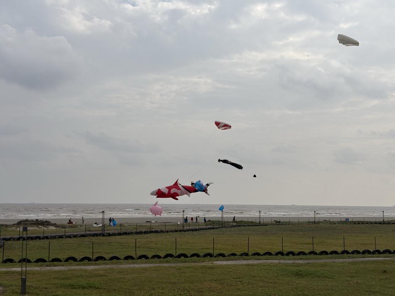 AI 时代到来，2026 年上大学报考哪些专业？4 年后毕业才不会失业？

先给