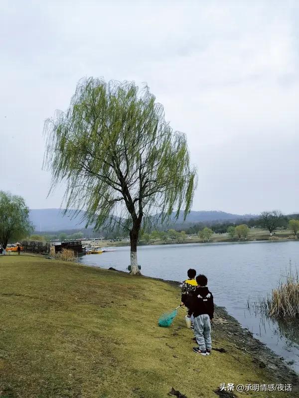 今年春天最想实现的心愿家人们！春天一到，心里那叫一个痒痒，全是小愿望！我想带爸妈