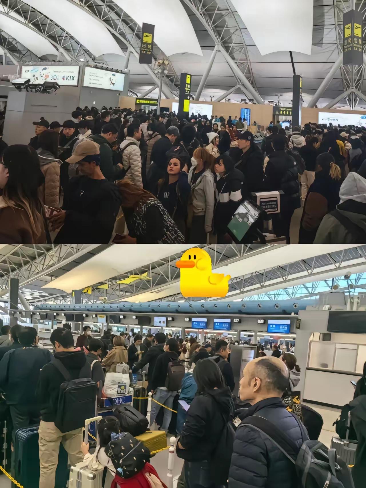 这下好了，
之前非要去日本的那批人，
​之前不听国家提醒硬闯日本的人，如今想回国