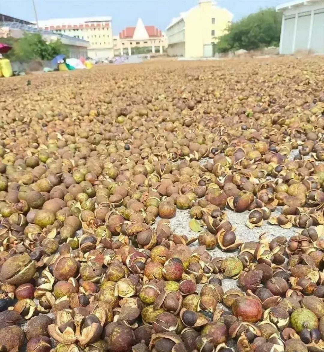 以前很火的油，怎么现在无人问津了 