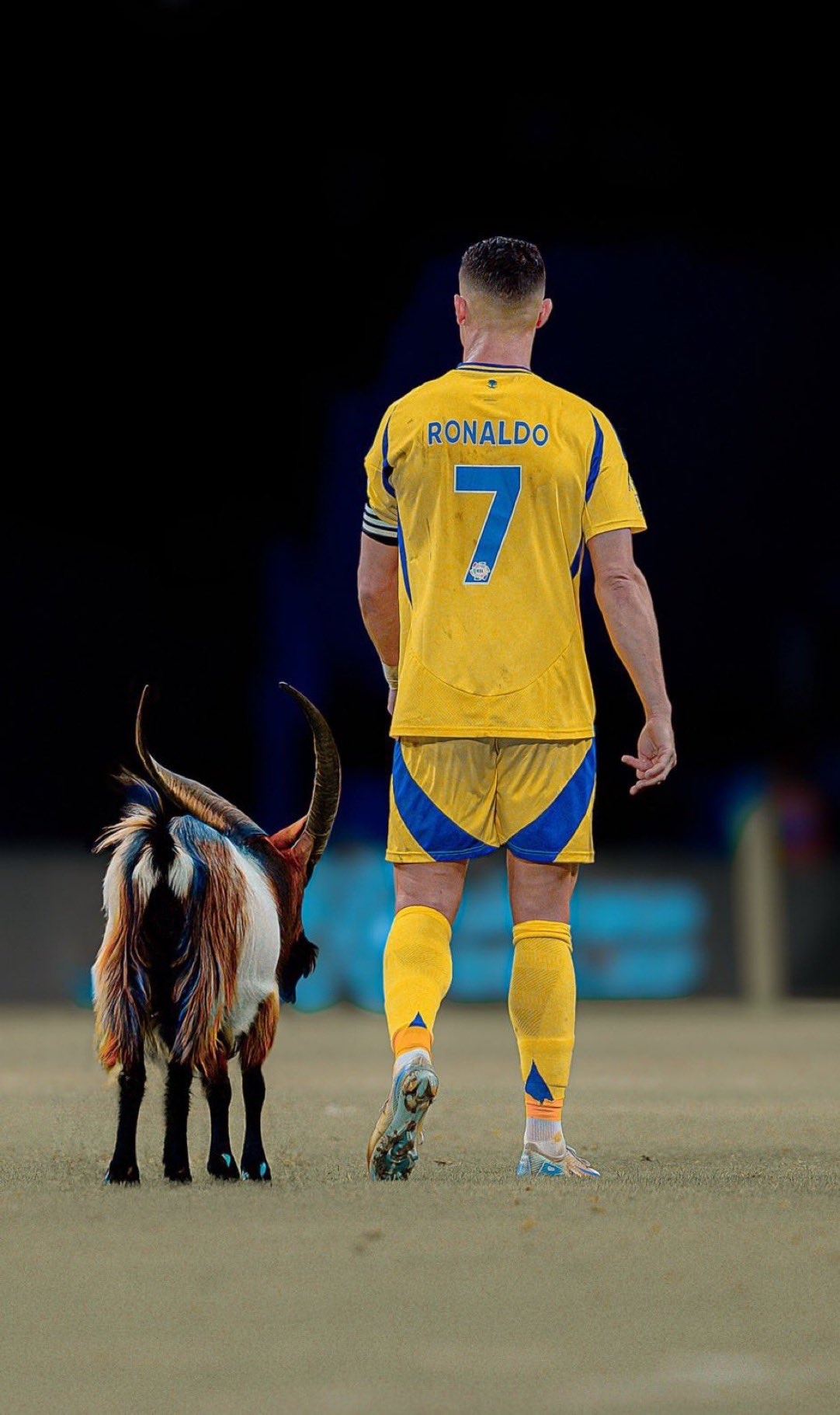 为了庆祝克里斯蒂亚诺·罗纳尔多的生日，埃隆·马斯克将点赞按钮的动画换成了GOAT