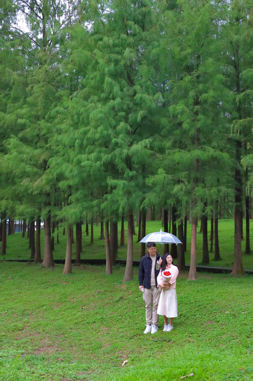 广州这个绿野仙踪公园拍照超好看！好治愈🌲