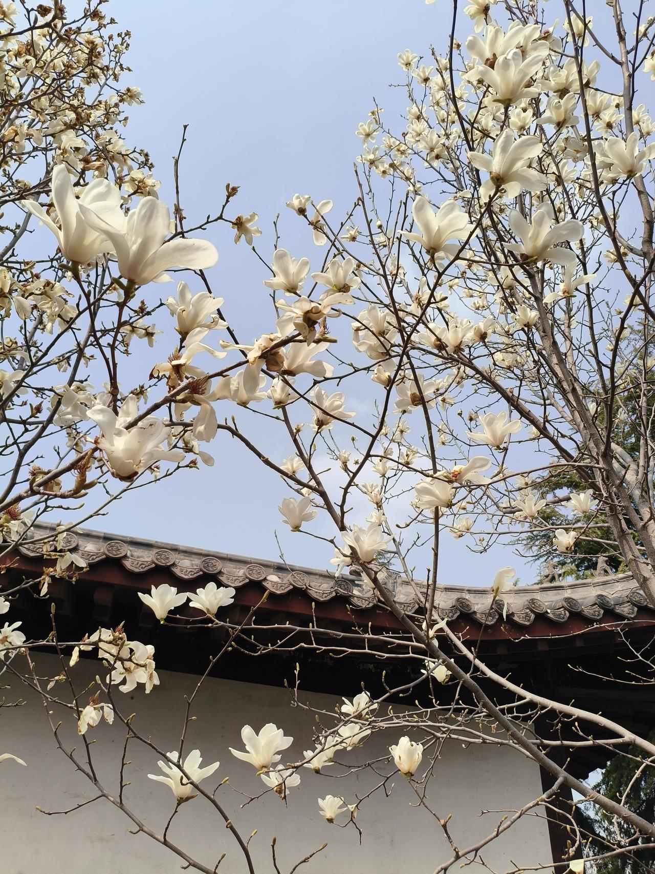 带定位晒今日生活