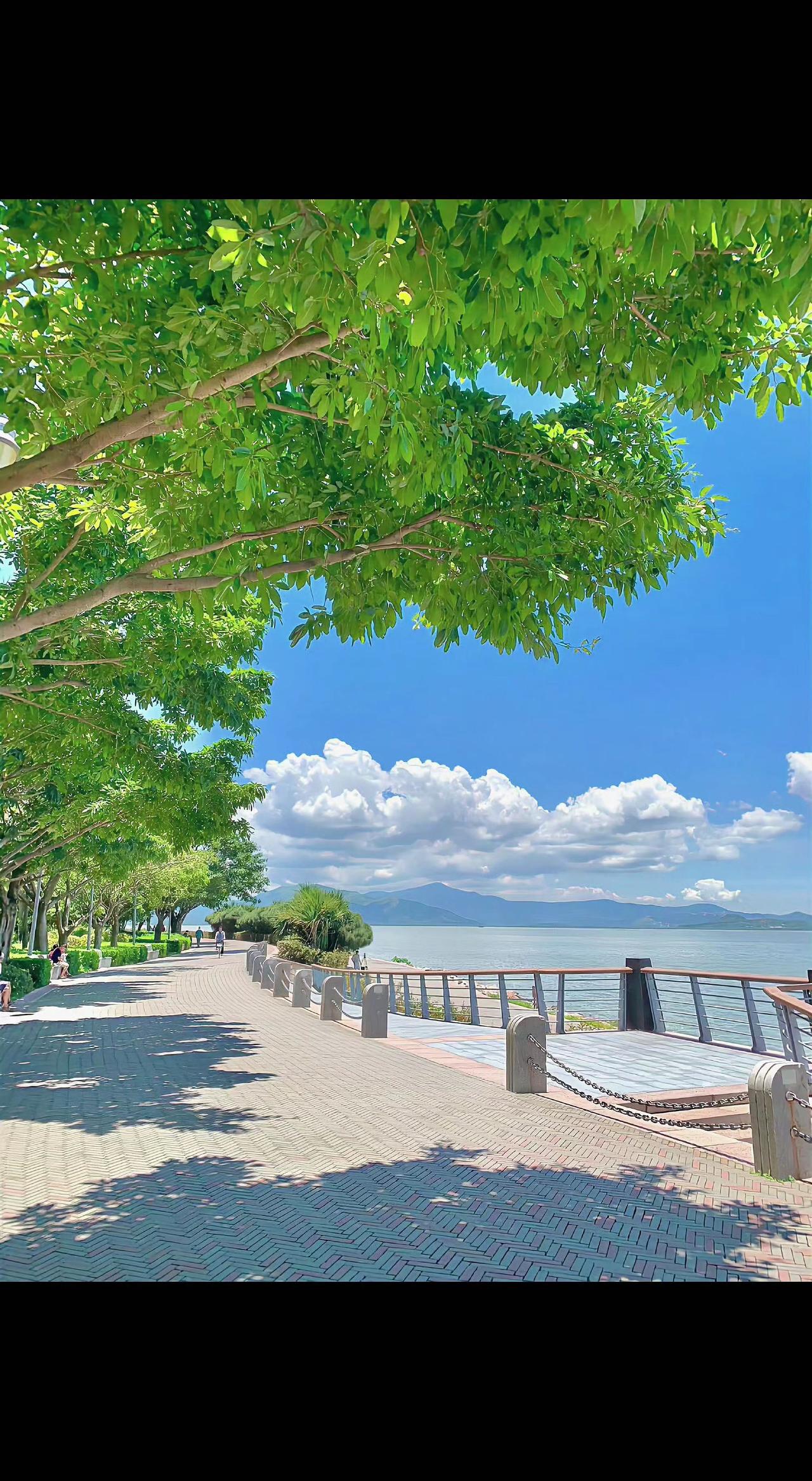 🌿光影在石板路上跳圆舞曲，云絮把天空揉成棉花糖☁️。风是流动的诗，等你走成下一