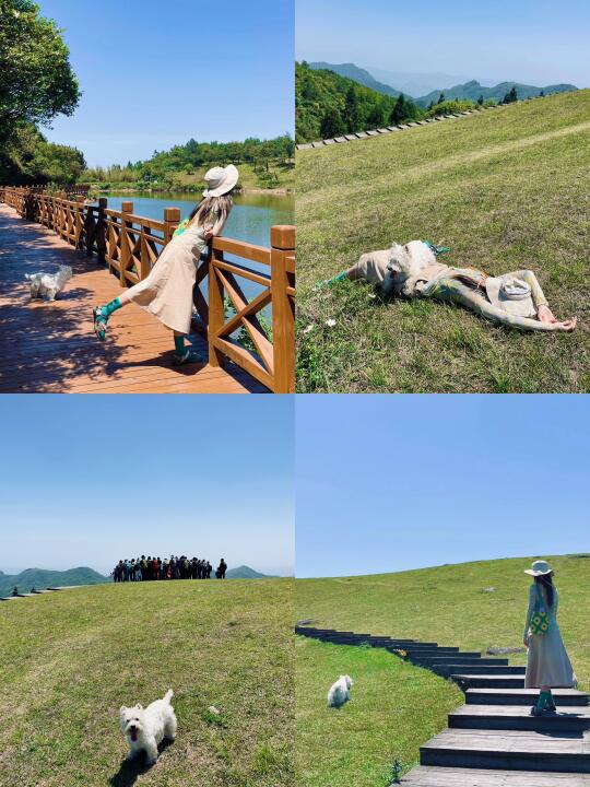 又是一个福建版小阿勒泰 狗狗完全友好