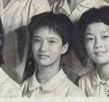 何晴短发很好看，从少女到中年，若她是男的，也是帅哥一枚。