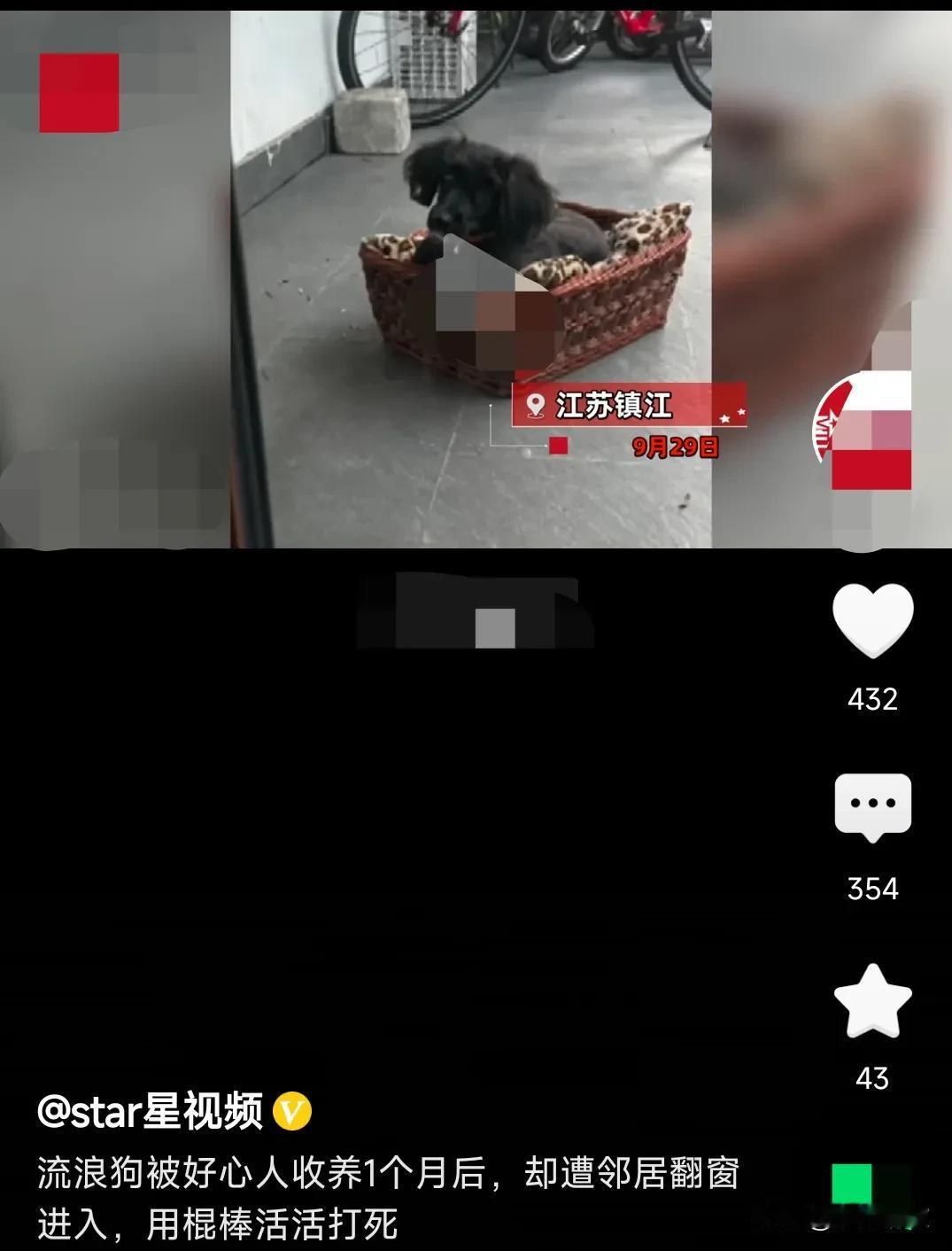 这也太令人发指了吧，这必须把这个打死狗的女人抓起来，并赔偿狗主人的损失。9月29