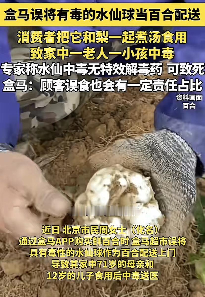 盒马超市将水仙球当做百合进行配送，导致消费者食用两人中毒！

盒马方面表示只愿意
