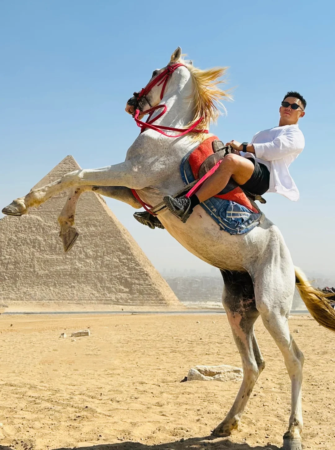 🇪🇬15元拍到的人生照片