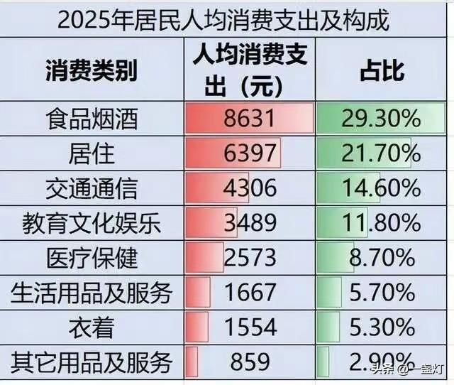 2025年居民人均消费支出构成
食品烟酒和居住占比过半