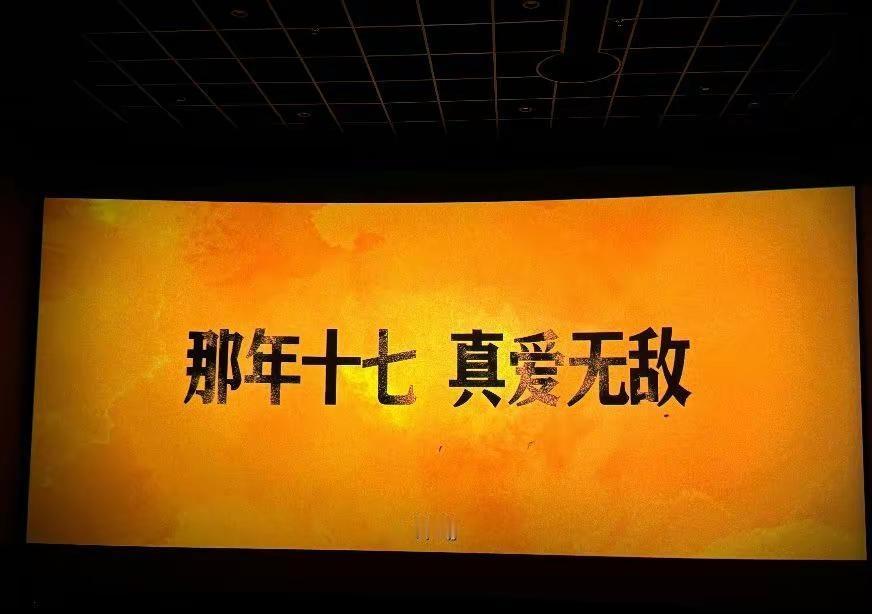 分手，是我十七岁最沉重的礼物。分手，是我十七岁这一年里，份量最重的一份礼物。它让