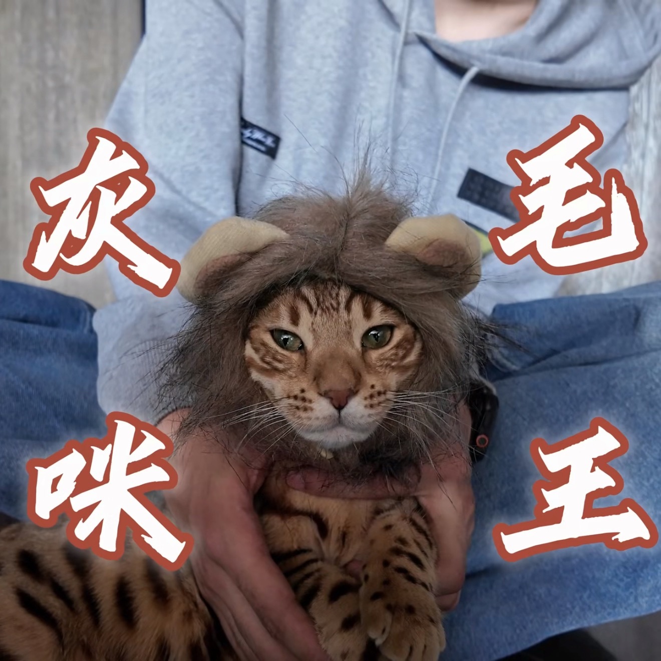 我笑得要吐了 