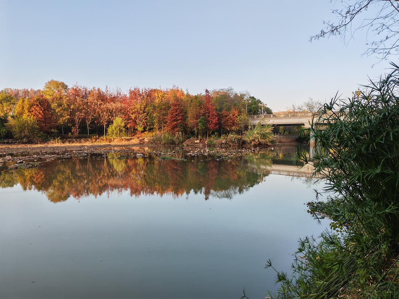 冬日生活打卡季
