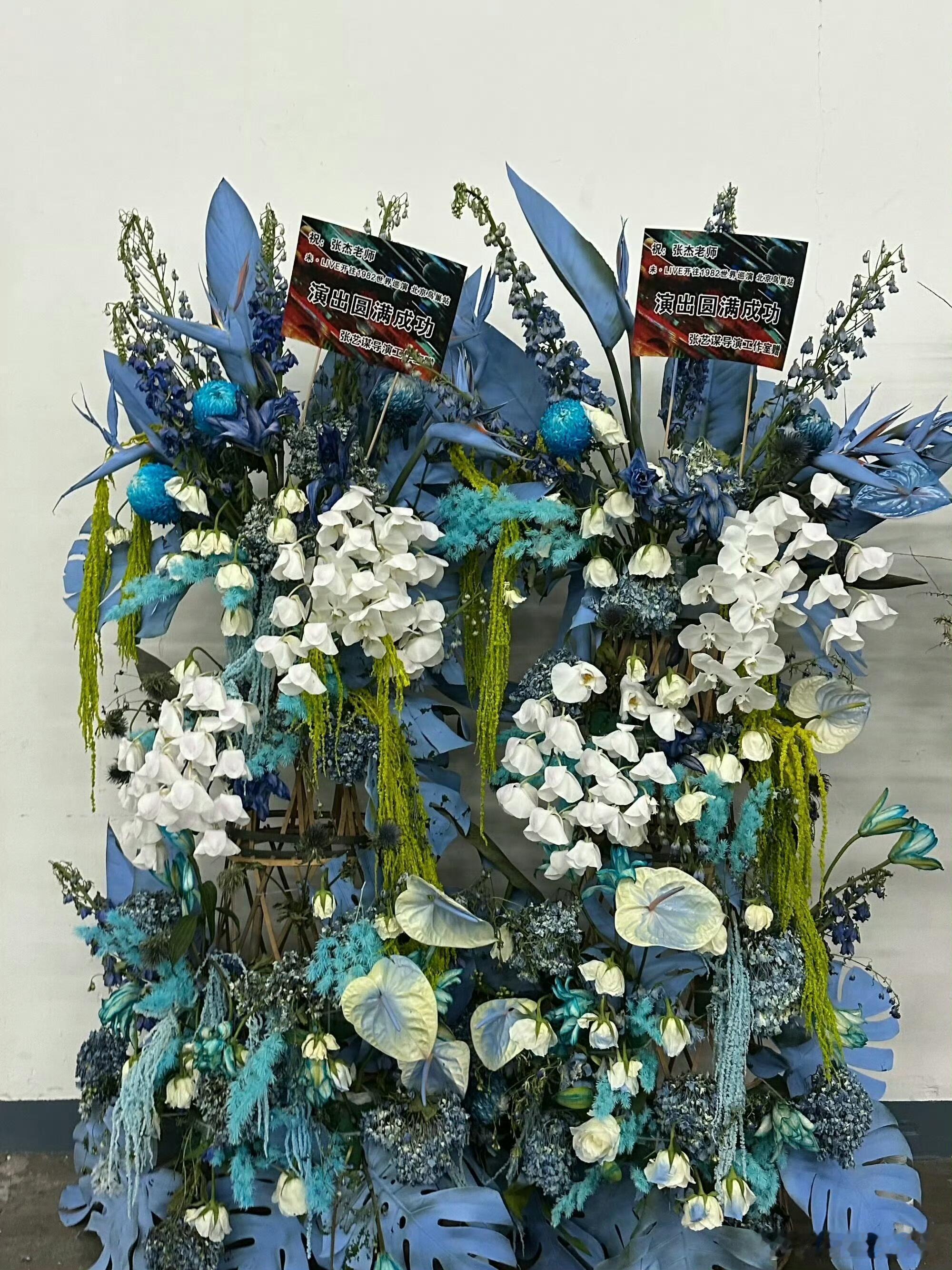 刘浩存去了张杰鸟巢演唱会张艺谋导演送了花篮 杰哥在电影圈是有点人脉的 