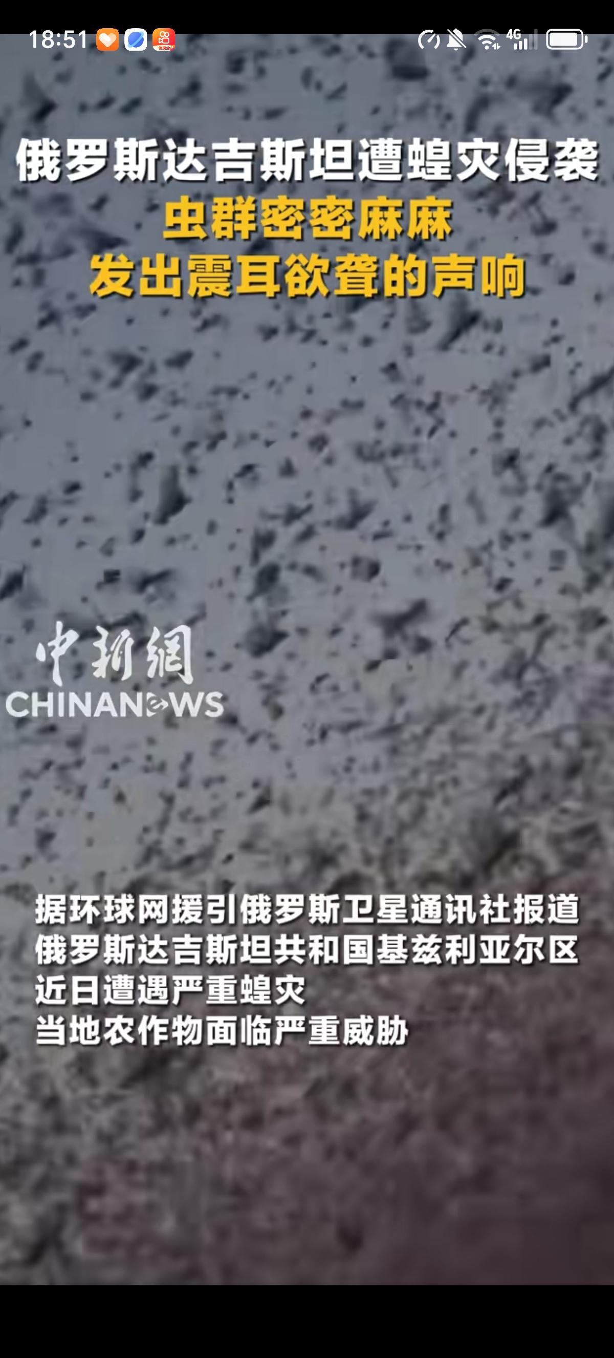 俄罗斯达吉斯坦现在对铺天盖地的蝗虫束手无策，蝗群冲上高速公路，蝗虫不断撞击汽车，