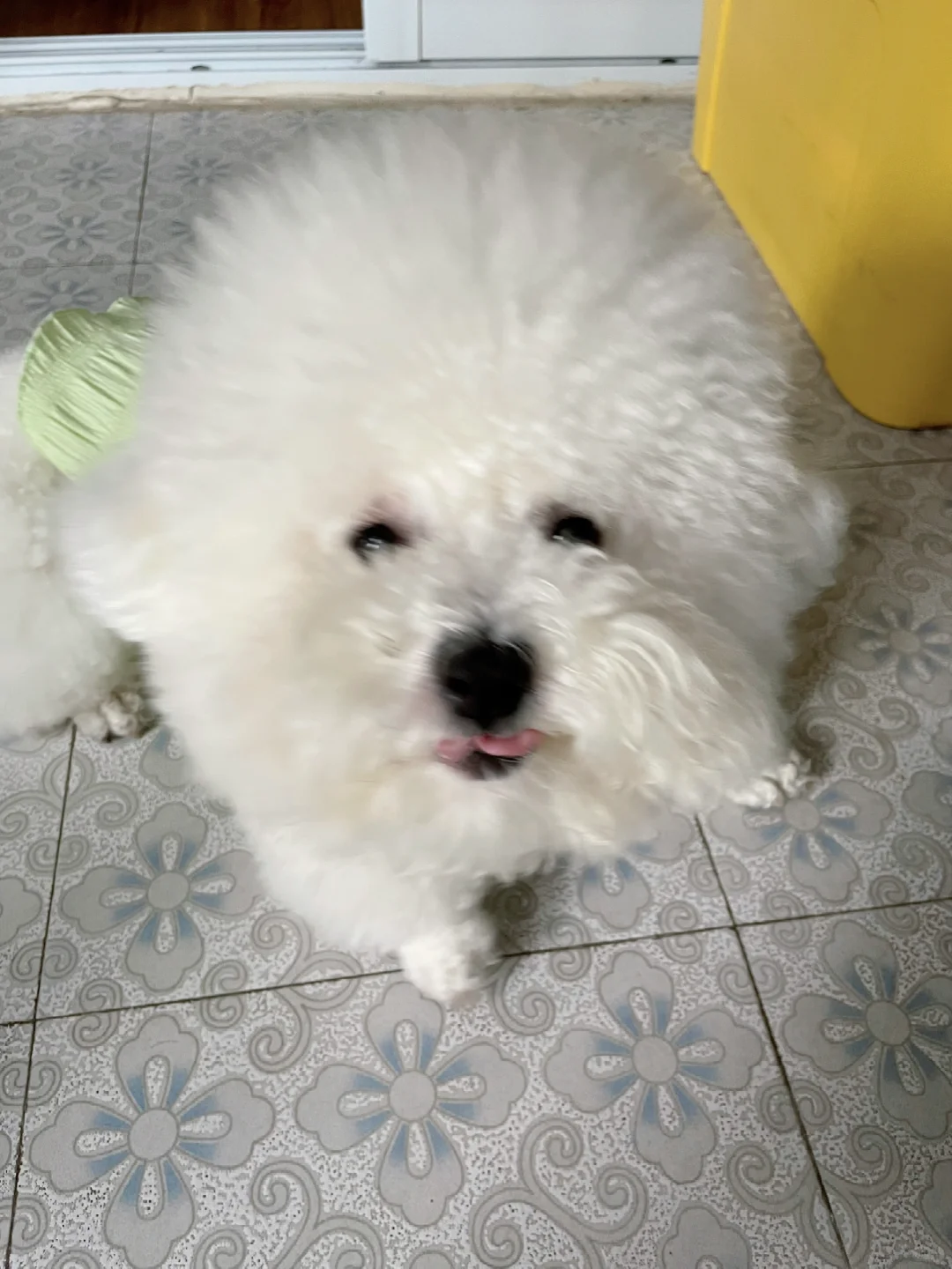 小飞棍朝你飞过来了