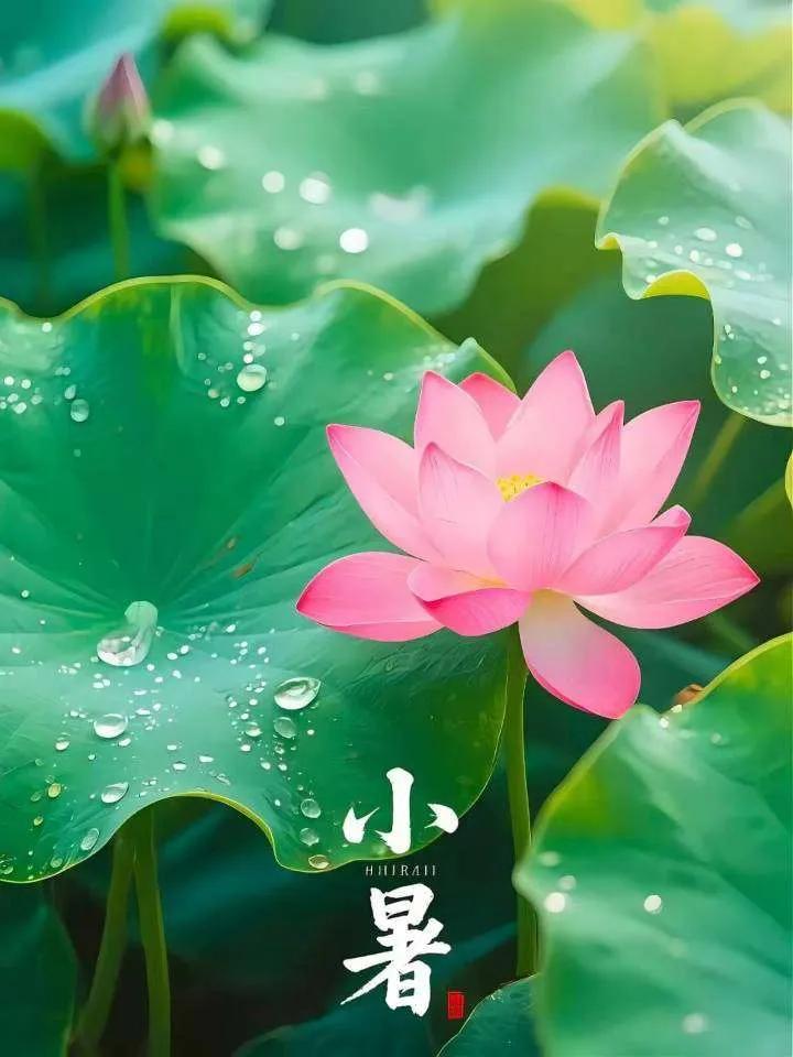 健康小常识：暑天降温，中医讲究“清暑”与“养津”并行，切忌贪凉暴饮，以免损伤脾阳