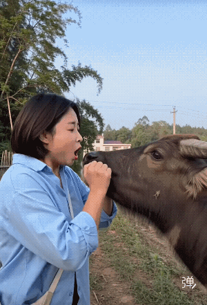 确实能吹，直接把牛吹上天了！[强]