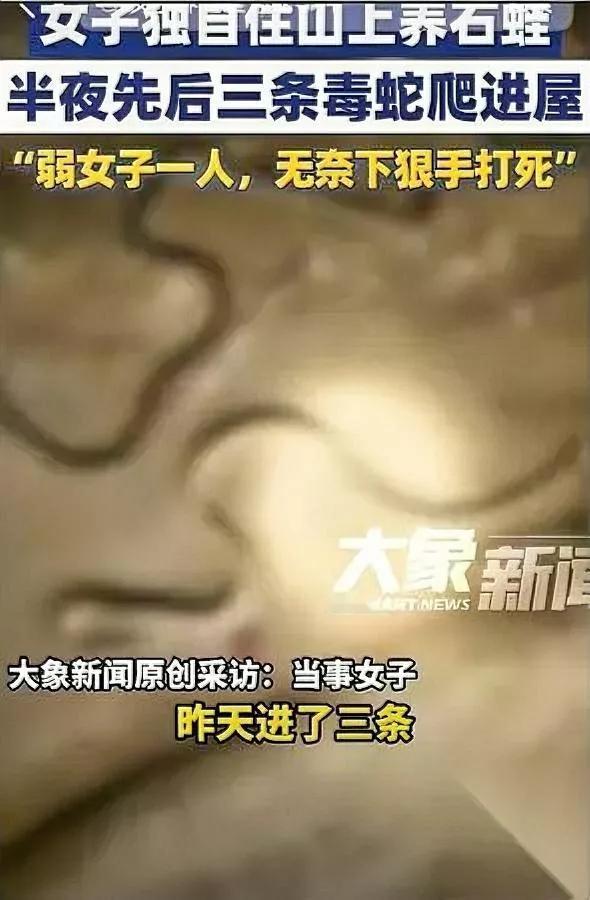 山里遇毒蛇咋办？她抄棍就上

但网友却吵翻了：杀蛇太狠？

湖南永州这位养蛙大姐