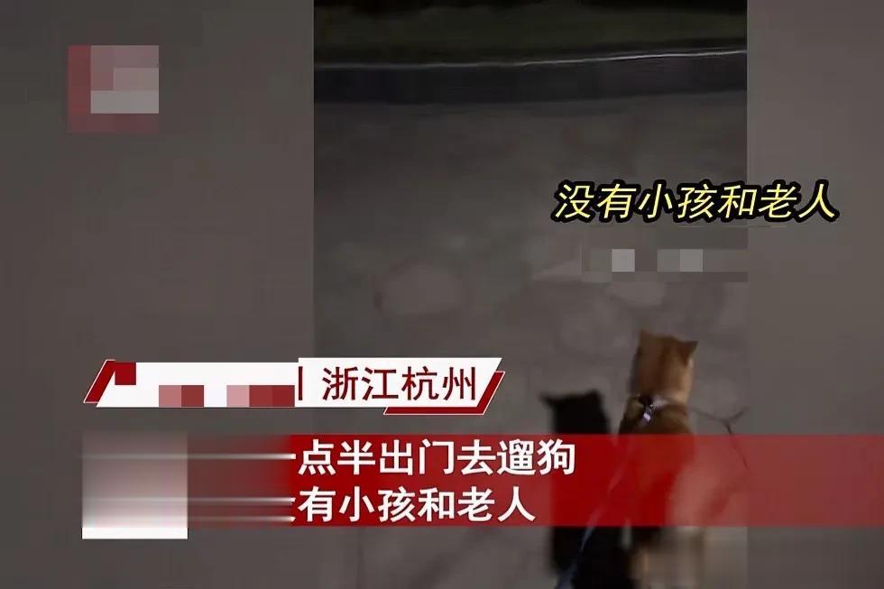高下立现！浙江杭州，男子特意挑凌晨一点半出门遛狗，嘴里还嘀咕着：“这个点没有小孩