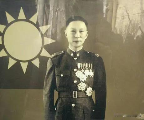 1993年，97岁的薛岳被告上法庭，面对法官的询问他沉默了许久，然后叹了口气说：