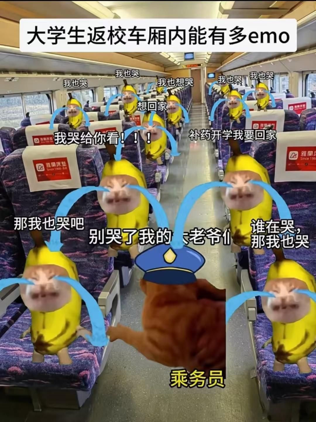 大学生返校车厢内能有多emo！真实哭了 