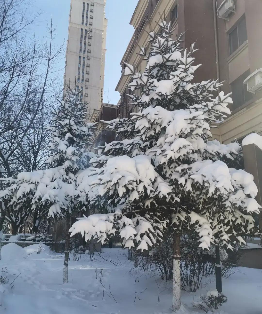 三连败，辽篮新年生死战！
 
流感没借口，外援没到位，年轻人顶不上去，球迷嗓子都