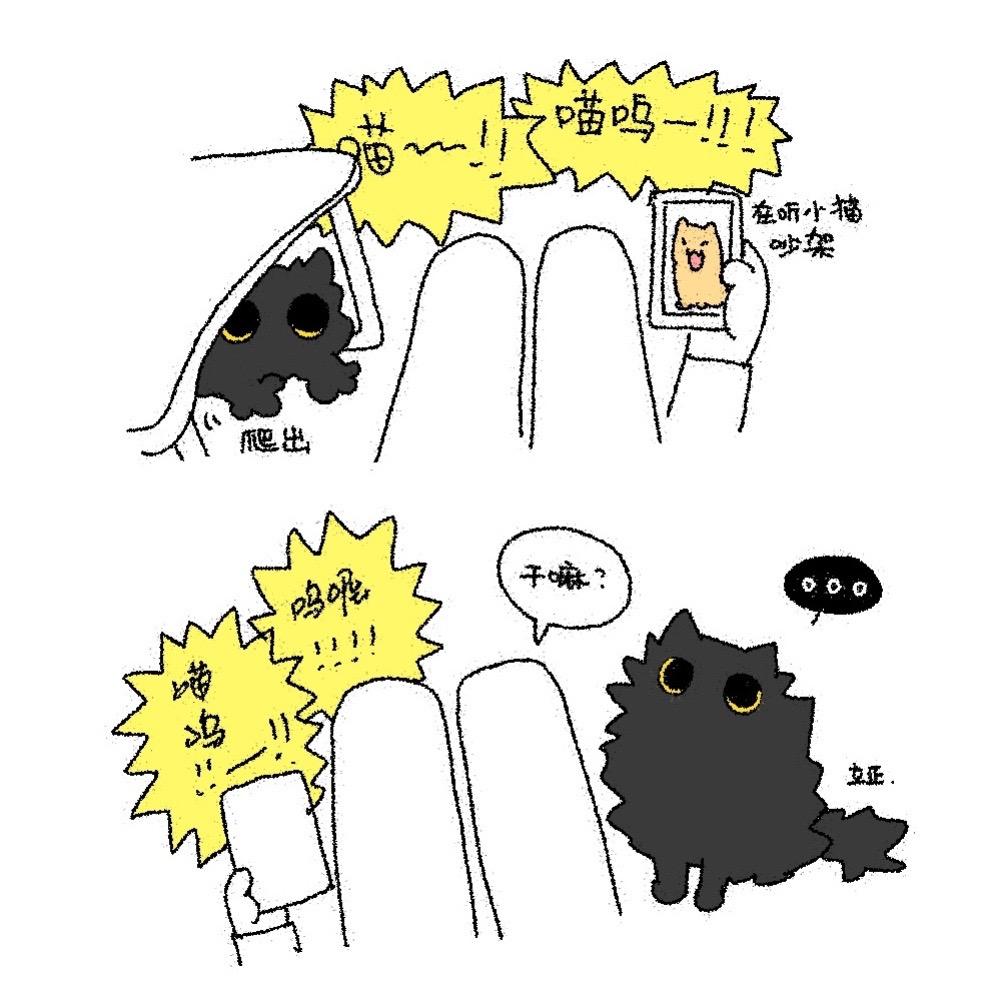 小狗 猛兽 猫猫 黑猫