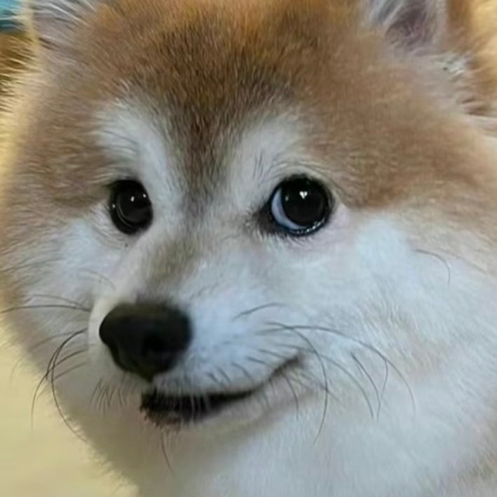 和医生聊天，说宝子哥最近不是很活跃，大部分时间都在发呆睡觉，有时候看上去很惆怅。