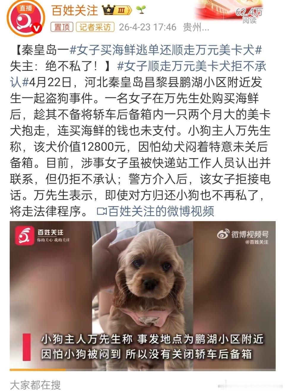 女子顺走万元美卡犬拒不承认盗窃罪为啥不拘留？直接从别人车里偷走了12800元的名