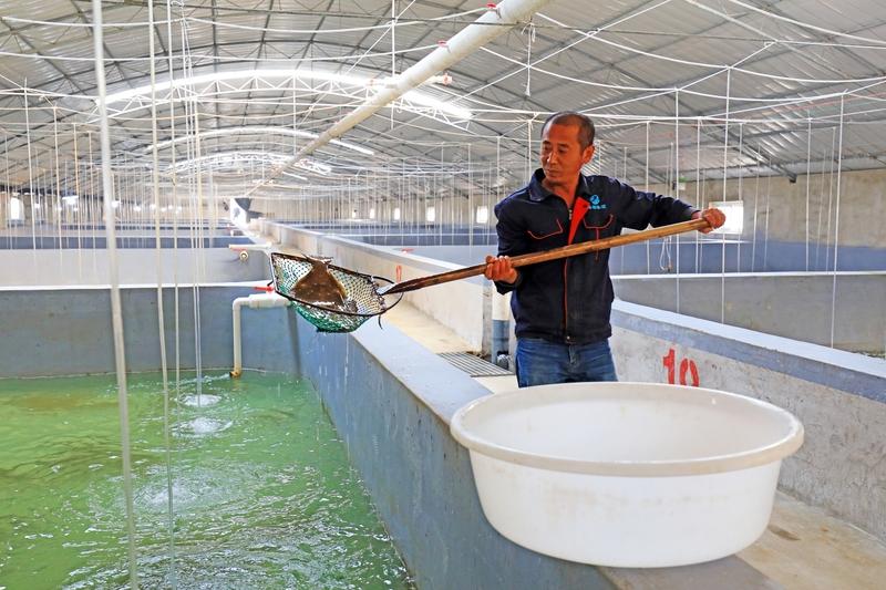 水产养殖中为什么要用酶制剂? 水产养殖中用酶制剂好处多多。酶是催化性很高的蛋白质