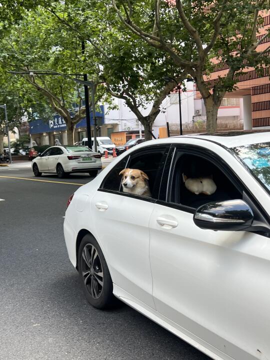 算了 你肯定觉得没意思