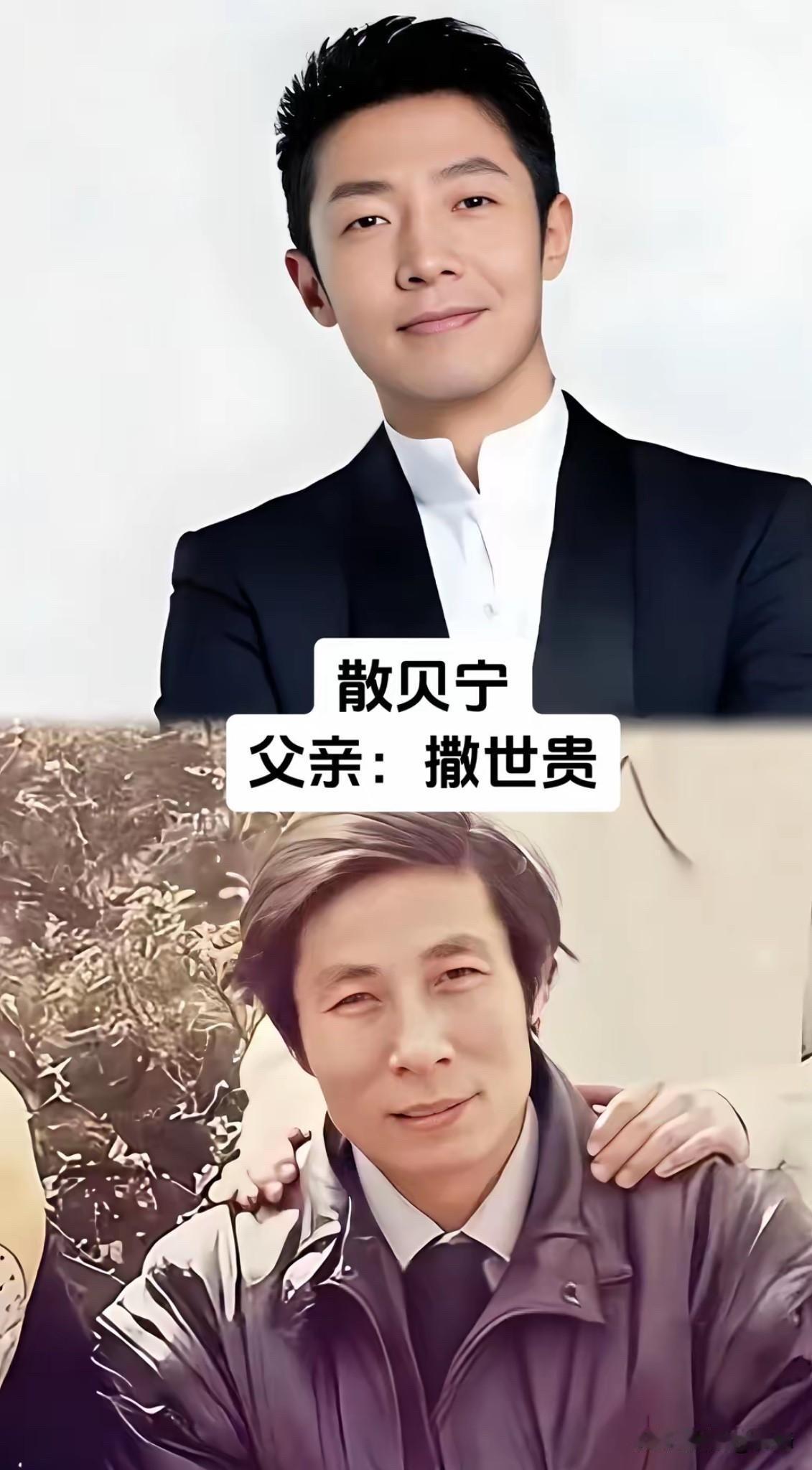 央视名嘴和父亲的合影，真的让人感觉父爱如山。这些主持人在舞台上光芒四射，但在父亲