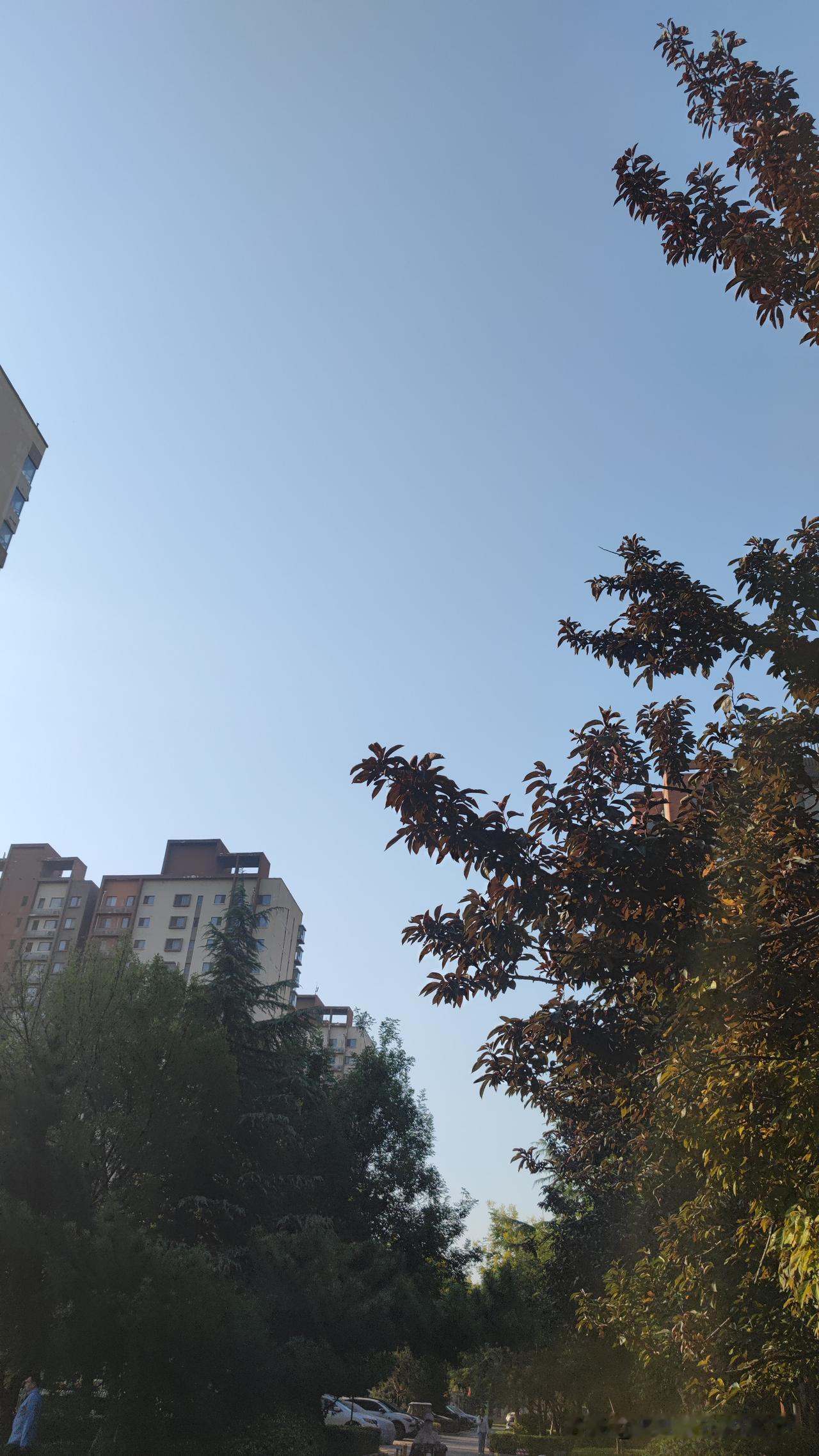 好心办坏事，遗憾终生！

河南驻马店，45岁的吴霞骑车路过一段路，突然被一根悬空