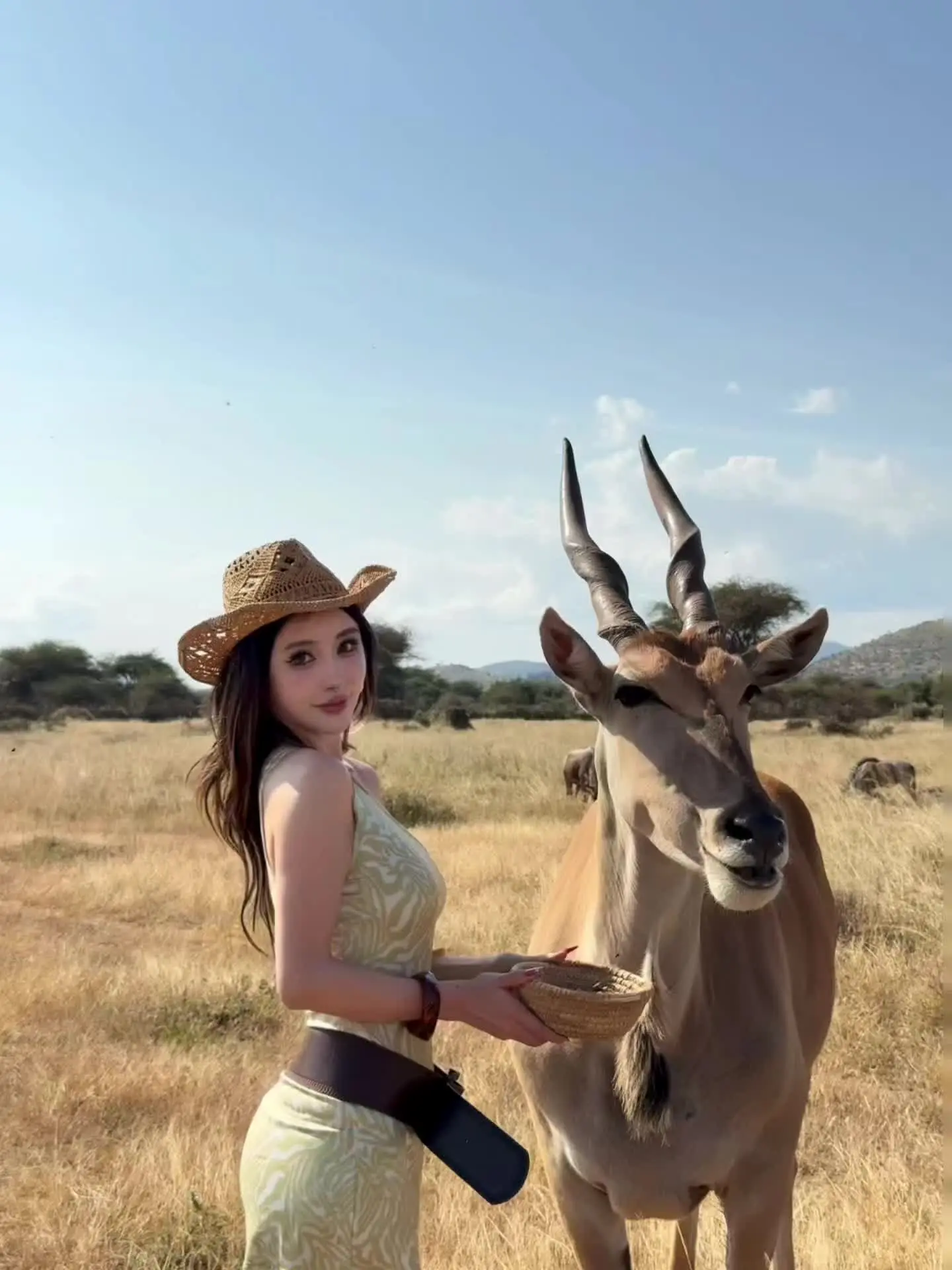 🐐🦒🦓