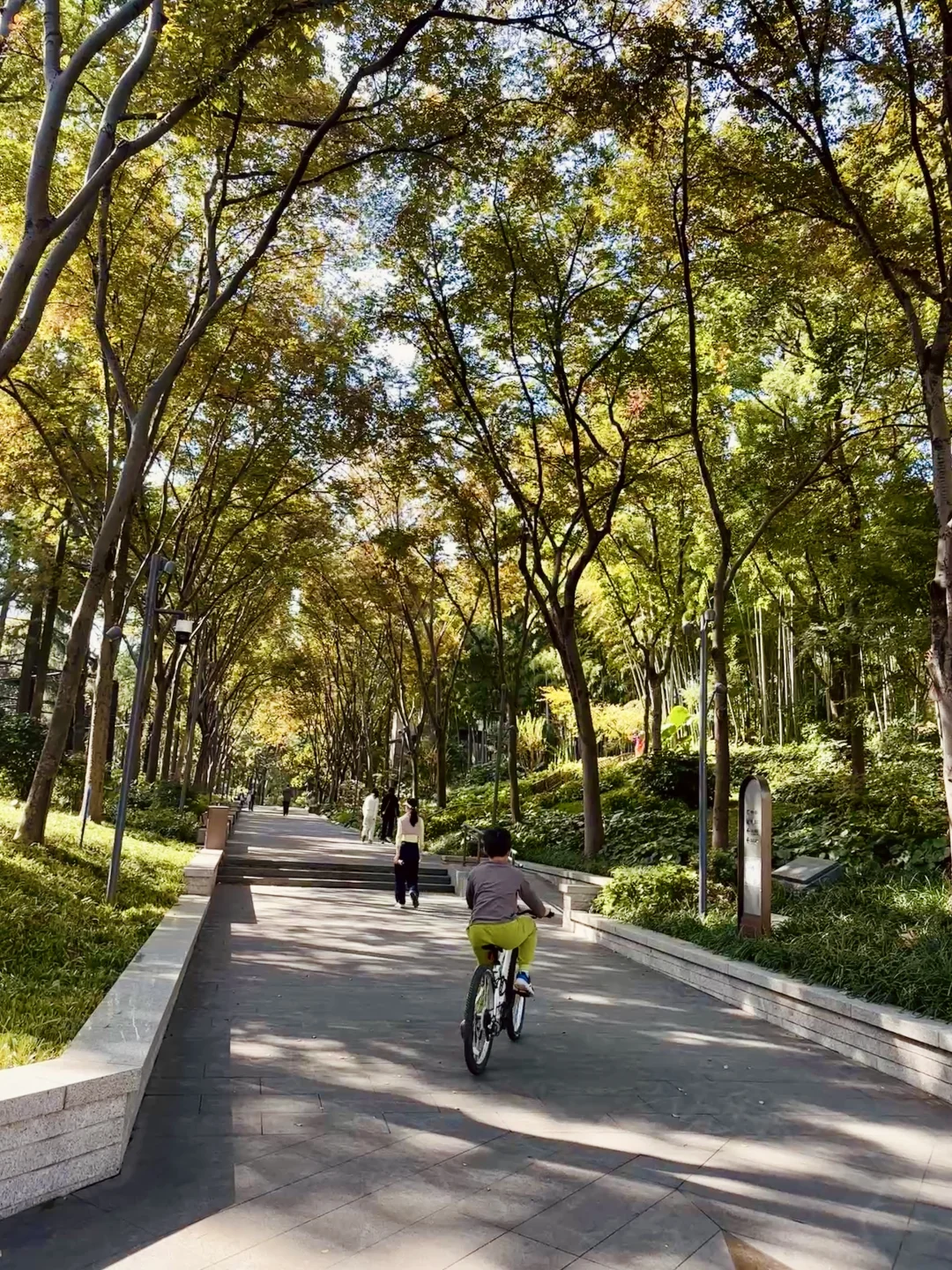 高能量溜娃｜骑车逛公园一切从简