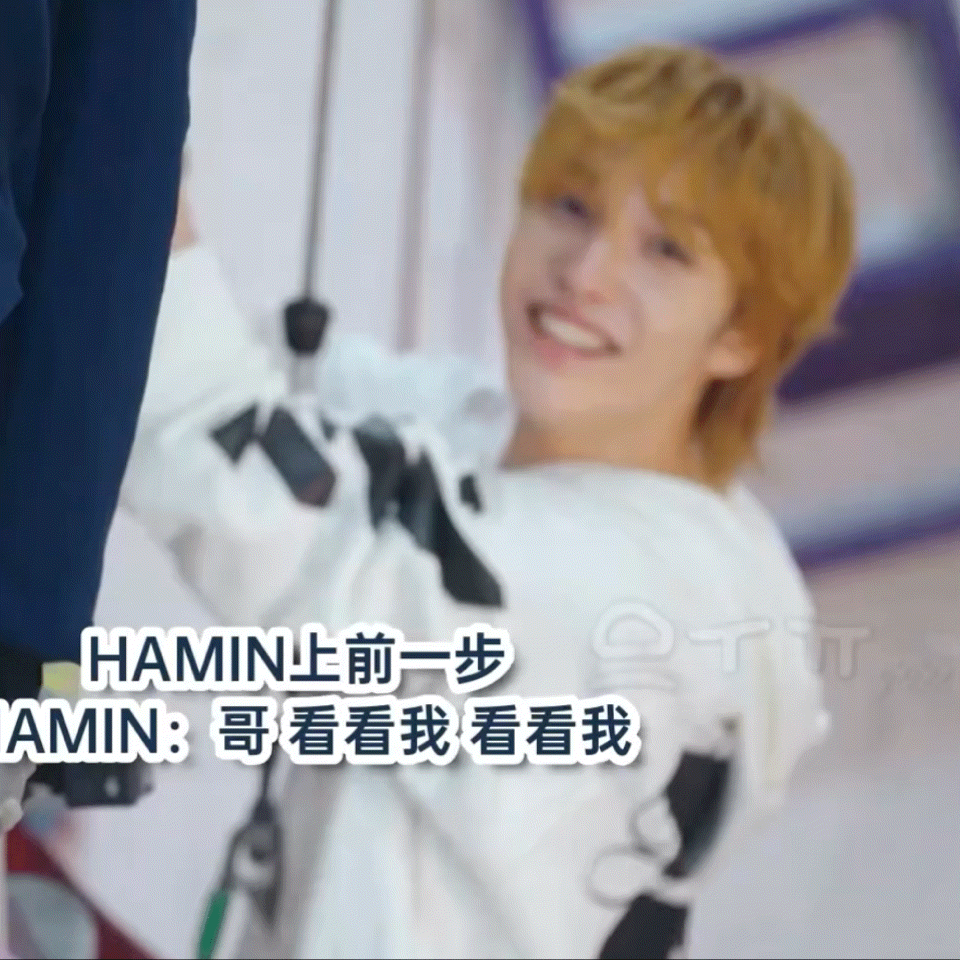 倘若你问我什么是狗狗眼  专栏 · 请回答宠物托管所