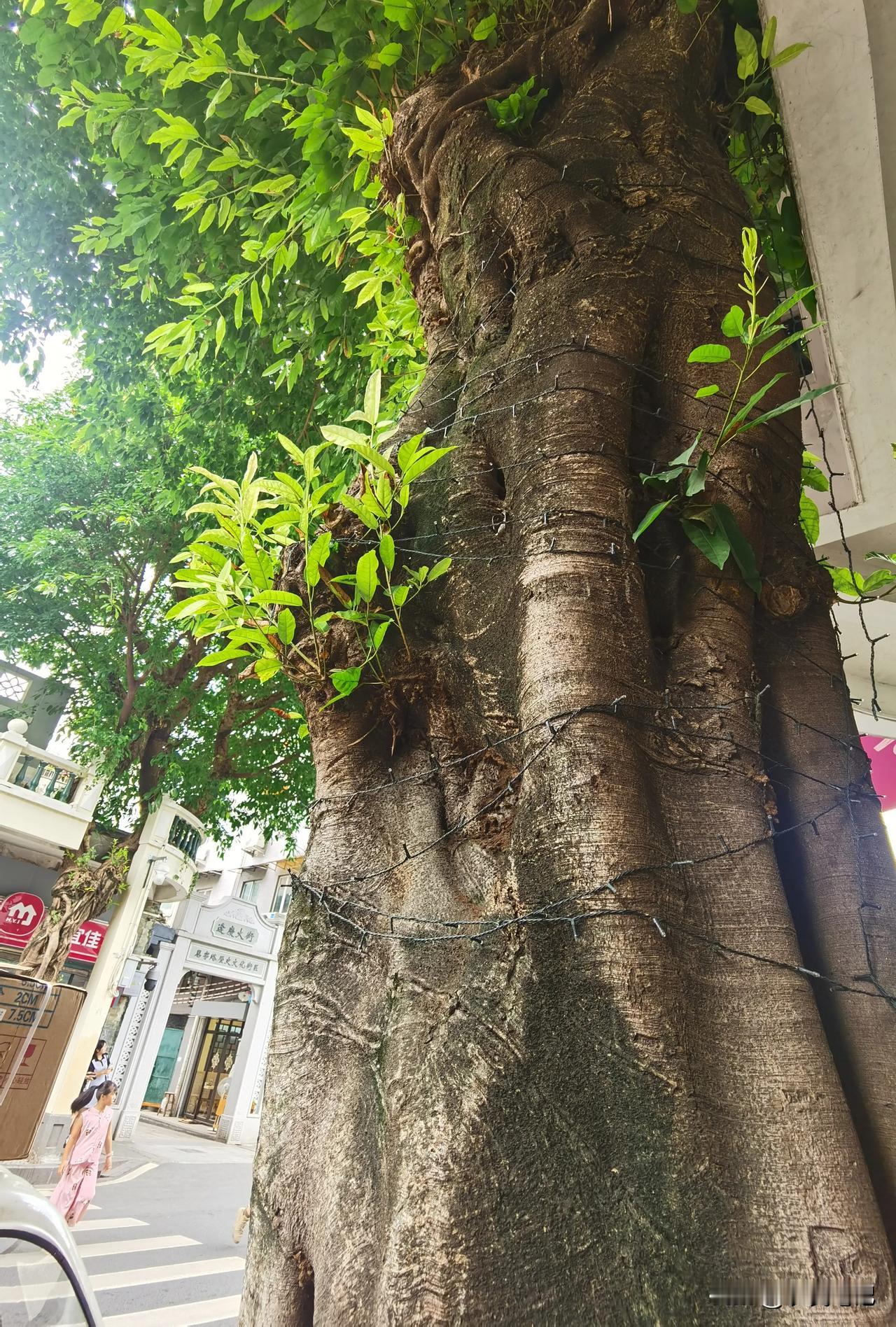 #电热水器和燃气热水器哪个好?#
个人认为，还是燃气热水器更顺手更安心点