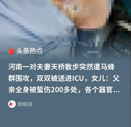 谁来承担责任？河南汝州，70多岁老汉和老伴吃完饭，两口子手牵手出去遛弯。经过人行