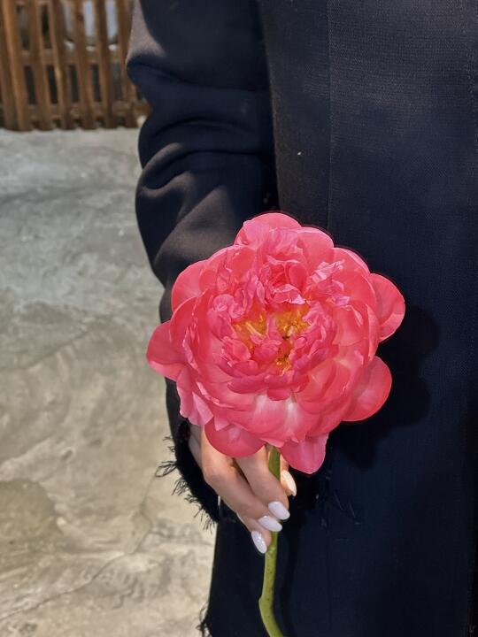 开了家花店