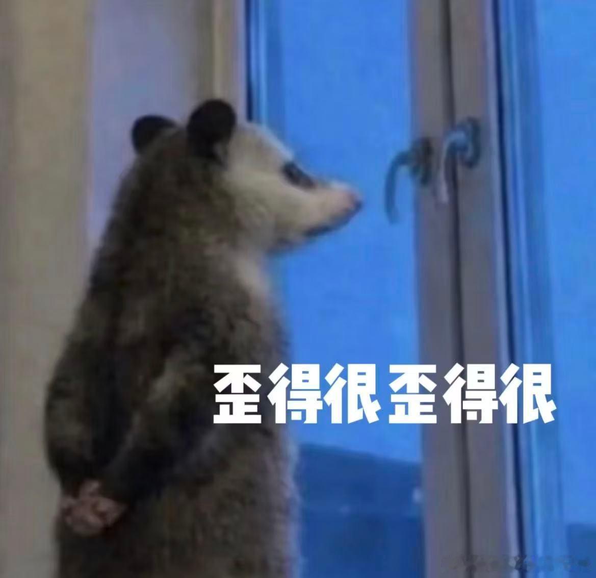秦人的叫法最早可追溯至西周早期、陕西上新300多片带文字甲骨秦人集合！！捕捉到一