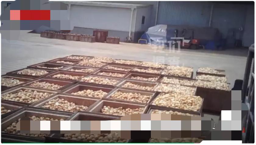 最近一条暗访看得人胃里翻江倒海——

工业废料"毛粉"，正被黑作坊洗洗煮煮，变成